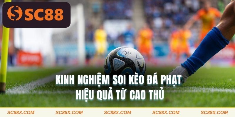 Kinh nghiệm soi kèo đá phat hiệu quả từ cao thủ